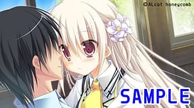 12 Summer / Image 12