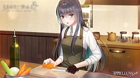 2045 Tsuki Yori / Image 5