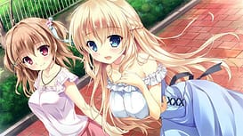 Akumade Kore wa - no Monogatari / Image 5