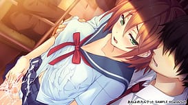 Ane Yome Quartet / Image 5