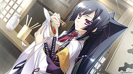Appare! Tenka Gomen / Image 17