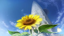 Bishoujo Mangekyou -Kami ga Tsukuritamouta Shoujo-tachi / Image 11