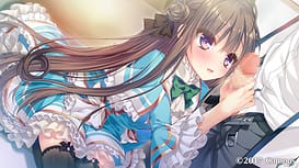 Boukyaku Shitsuji to Koi Suru Ojou-sama no Memoir / Image 5