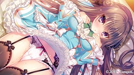 Boukyaku Shitsuji to Koi Suru Ojou-sama no Memoir / Image 7