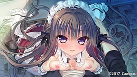 Boukyaku Shitsuji to Koi Suru Ojou-sama no Memoir / Image 11