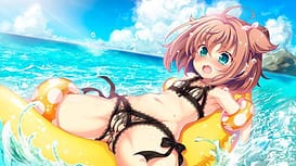 Cute Resort -Shiyou yo Ecchi na Activity / Image 11