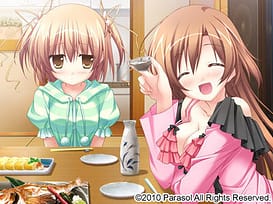 Derivara! - Deliverance of strays / Image 16