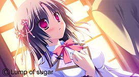 Diamic Days / Image 7