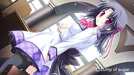 Diamic Days / Image 15