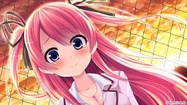 Dokodemo Chinchin / Image 8