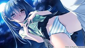 Dolphin Divers / Image 5