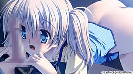 Dolphin Divers / Image 8