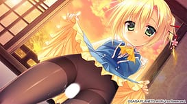 Floral Flowlove / Image 11