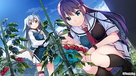 Cover Grisaia Phantom Trigger - thumb 2 | Download now!