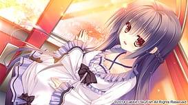 Hakoniwa Logic / Image 8