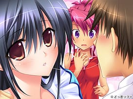 Hare Kano -Futari no Osananajimi to Harem na Kankei / Image 9