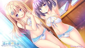 Haruka Ao no Hanayome ni / Image 6