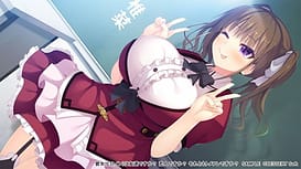 Heroine wa Tomodachi Desu ka Koibito Desu ka Soretomo Tomefure Desu ka / Image 12