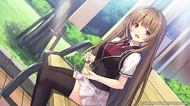 Hibikino-san-chi wa Eroge-ya-san! / Image 5