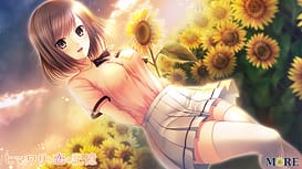 Himawari to Koi no Kioku / Image 4