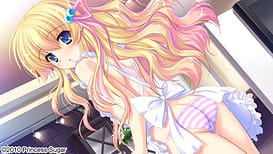 Hime-sama Gentei! - Princess Limited / Image 5
