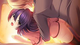 Houfuku no Josou Chikan / Image 5