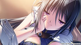 Hyakka Ryouran Elixir / Image 6