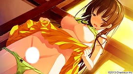 Ichiban Janakya Dame Desu ka / Image 14