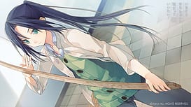 Ima Sugu Onii-chan ni Imouto da tte Iitai! / Image 3