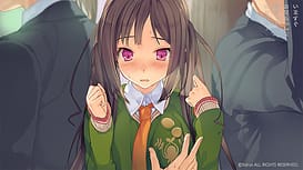 Ima Sugu Onii-chan ni Imouto da tte Iitai! / Image 11