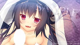 Kami-sama no Mimi wa Kemonomimi! / Image 2