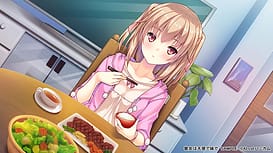 Kanojo wa Tenshi de Imouto de / Image 7