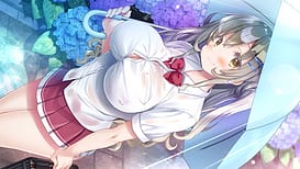 Kimi to Koisuru Happy Summer / Image 1