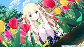 Koi x Shin Ai Kanojo / Image 3