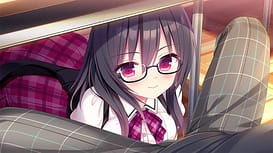 Koibana Renai / Image 12