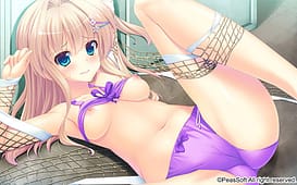 Koisuru Shimai no Sextet / Image 8