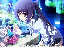 LOVELY X CATION - Plus Bonus / Image 15