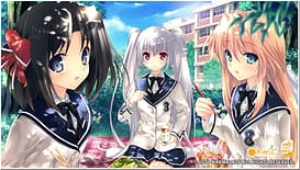 Love 2 Quad / Image 12