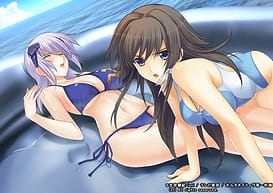 Muv-Luv Alternative - Total Eclipse / Image 4