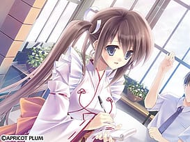 Nadeshiko Drip / Image 5