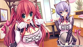 Namaiki Delation / Image 17