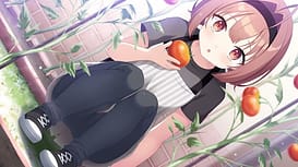 Neko to Wakai Seyo! / Image 9
