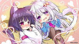 Nekotsuku Sakura / Image 9