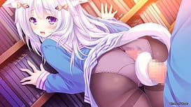 Nekotsuku Sakura / Image 13