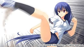 Noble Works / Image 5