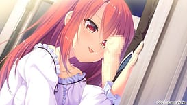 Ojou-sama to Aware na Ko Shitsuji / Image 14