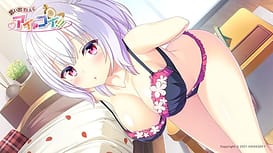 Omoide Kakaete Ai ni Koi!! / Image 14