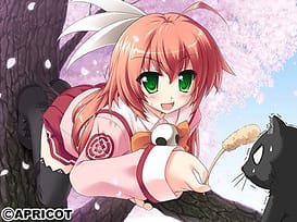 Ouka Sengoku - Nobunaga-chan no Koishite Yabou! / Image 14