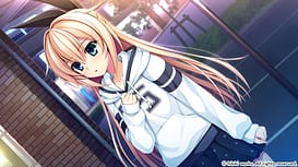 Pretty x Cation 2 / Image 5