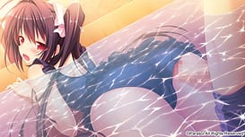 Quintuple Splash / Image 9